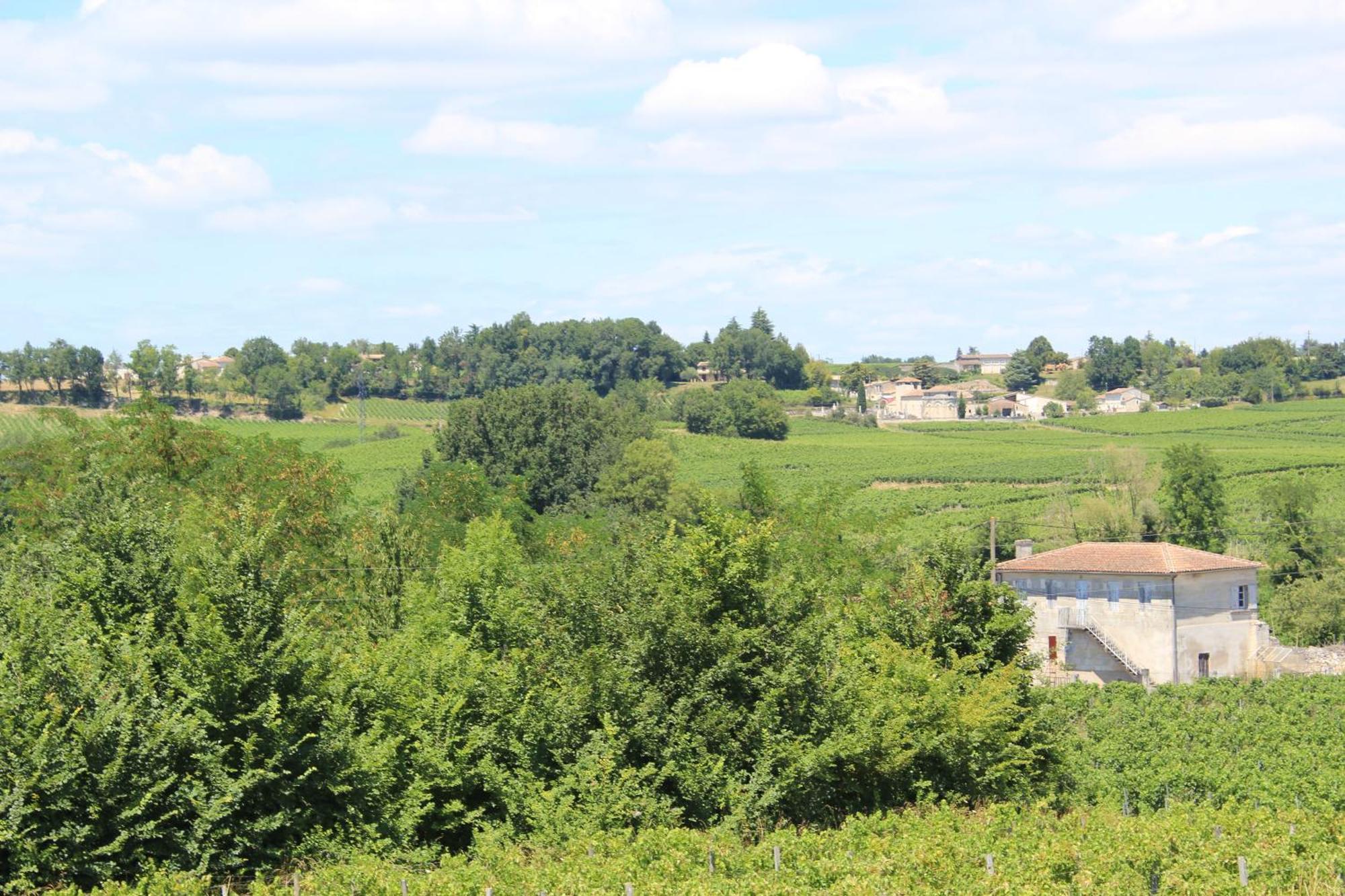 Bed and Breakfast Les Charmes De Vincent - Le Loft Cabernet Fronsac  Exteriér fotografie